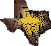 texas is in trouble!