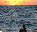 Islamorada Florida