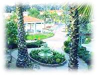 San Jose Hyatt garden